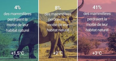 La perte de biodiversité : une crise écologique majeure La perte de biodiversité, aussi appelée érosion de la biodiversité ou effondrement de la biodiversité, désigne la diminution de la diversité des formes de vie sur Terre, à tous les niveaux : diversité des gènes, des espèces, des écosystèmes. Il s'agit d'une crise écologique majeure qui menace l'équilibre des écosystèmes et le bien-être humain. Qu'est-ce que la biodiversité ? Avant de parler de perte, il est important de définir ce qu'est la biodiversité. Elle englobe : La diversité génétique : la variation des gènes au sein d'une même espèce. La diversité des espèces : la variété des espèces vivantes, animales, végétales, microbiennes. La diversité des écosystèmes : la variété des milieux de vie et des interactions entre les organismes qui les composent. Les causes de la perte de biodiversité : Les causes de cette érosion sont multiples et interconnectées, mais elles sont principalement d'origine humaine : La destruction et la fragmentation des habitats naturels : La déforestation, l'urbanisation, l'agriculture intensive transforment les milieux naturels et réduisent l'espace vital des espèces. La surexploitation des ressources naturelles : La surpêche, la chasse excessive, l'exploitation forestière non durable épuisent les populations d'espèces. Le changement climatique : L'augmentation des températures, les événements climatiques extrêmes perturbent les écosystèmes et mettent les espèces en difficulté. La pollution : La pollution de l'air, de l'eau et des sols par les produits chimiques, les déchets plastiques, les métaux lourds affecte la santé des organismes et détruit les habitats. L'introduction d'espèces exotiques envahissantes : L'introduction volontaire ou involontaire d'espèces étrangères qui se développent de manière incontrôlée et concurrencent les espèces locales. Les conséquences de la perte de biodiversité : Les conséquences de cette perte sont considérables et touchent tous les aspects de la vie sur Terre : Affaiblissement des services écosystémiques : La biodiversité fournit des services essentiels tels que la pollinisation, la purification de l'eau, la régulation du climat, la production de nourriture et de médicaments. Sa perte compromet ces services. Augmentation de la vulnérabilité aux catastrophes naturelles : Des écosystèmes sains et diversifiés sont plus résistants aux inondations, aux sécheresses, aux incendies. Insécurité alimentaire : La perte de diversité génétique des cultures et des animaux d'élevage rend l'agriculture plus vulnérable aux maladies et aux changements climatiques. Risques sanitaires : La perte de biodiversité peut favoriser l'émergence et la propagation de maladies infectieuses. Impacts économiques : De nombreux secteurs économiques dépendent directement de la biodiversité, comme l'agriculture, la pêche, le tourisme. Que faire pour lutter contre la perte de biodiversité ? Il est urgent d'agir à tous les niveaux pour inverser cette tendance : Protéger les habitats naturels : Créer des aires protégées, restaurer les écosystèmes dégradés. Promouvoir une agriculture durable : Réduire l'utilisation des pesticides et des engrais chimiques, favoriser l'agroécologie. Lutter contre le changement climatique : Réduire les émissions de gaz à effet de serre. Lutter contre la pollution : Réduire les déchets, promouvoir l'économie circulaire. Contrôler les espèces exotiques envahissantes : Mettre en place des mesures de prévention et de gestion. Sensibiliser et éduquer le public : Informer sur l'importance de la biodiversité et les actions à mettre en place. En conclusion, la perte de biodiversité est une crise majeure qui menace l'avenir de la planète. Il est crucial d'agir collectivement et rapidement pour préserver la diversité du vivant et assurer un avenir durable pour tous. Chaque action, même à petite échelle, compte.