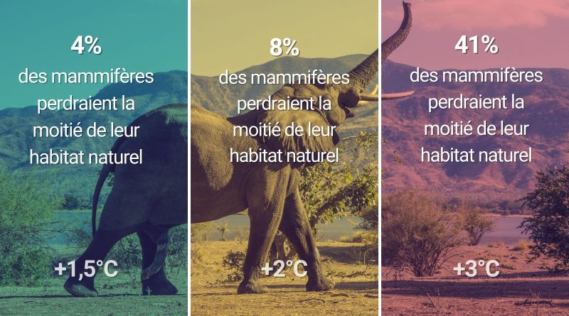 La perte de biodiversité : une crise écologique majeure La perte de biodiversité, aussi appelée érosion de la biodiversité ou effondrement de la biodiversité, désigne la diminution de la diversité des formes de vie sur Terre, à tous les niveaux : diversité des gènes, des espèces, des écosystèmes. Il s'agit d'une crise écologique majeure qui menace l'équilibre des écosystèmes et le bien-être humain. Qu'est-ce que la biodiversité ? Avant de parler de perte, il est important de définir ce qu'est la biodiversité. Elle englobe : La diversité génétique : la variation des gènes au sein d'une même espèce. La diversité des espèces : la variété des espèces vivantes, animales, végétales, microbiennes. La diversité des écosystèmes : la variété des milieux de vie et des interactions entre les organismes qui les composent. Les causes de la perte de biodiversité : Les causes de cette érosion sont multiples et interconnectées, mais elles sont principalement d'origine humaine : La destruction et la fragmentation des habitats naturels : La déforestation, l'urbanisation, l'agriculture intensive transforment les milieux naturels et réduisent l'espace vital des espèces. La surexploitation des ressources naturelles : La surpêche, la chasse excessive, l'exploitation forestière non durable épuisent les populations d'espèces. Le changement climatique : L'augmentation des températures, les événements climatiques extrêmes perturbent les écosystèmes et mettent les espèces en difficulté. La pollution : La pollution de l'air, de l'eau et des sols par les produits chimiques, les déchets plastiques, les métaux lourds affecte la santé des organismes et détruit les habitats. L'introduction d'espèces exotiques envahissantes : L'introduction volontaire ou involontaire d'espèces étrangères qui se développent de manière incontrôlée et concurrencent les espèces locales. Les conséquences de la perte de biodiversité : Les conséquences de cette perte sont considérables et touchent tous les aspects de la vie sur Terre : Affaiblissement des services écosystémiques : La biodiversité fournit des services essentiels tels que la pollinisation, la purification de l'eau, la régulation du climat, la production de nourriture et de médicaments. Sa perte compromet ces services. Augmentation de la vulnérabilité aux catastrophes naturelles : Des écosystèmes sains et diversifiés sont plus résistants aux inondations, aux sécheresses, aux incendies. Insécurité alimentaire : La perte de diversité génétique des cultures et des animaux d'élevage rend l'agriculture plus vulnérable aux maladies et aux changements climatiques. Risques sanitaires : La perte de biodiversité peut favoriser l'émergence et la propagation de maladies infectieuses. Impacts économiques : De nombreux secteurs économiques dépendent directement de la biodiversité, comme l'agriculture, la pêche, le tourisme. Que faire pour lutter contre la perte de biodiversité ? Il est urgent d'agir à tous les niveaux pour inverser cette tendance : Protéger les habitats naturels : Créer des aires protégées, restaurer les écosystèmes dégradés. Promouvoir une agriculture durable : Réduire l'utilisation des pesticides et des engrais chimiques, favoriser l'agroécologie. Lutter contre le changement climatique : Réduire les émissions de gaz à effet de serre. Lutter contre la pollution : Réduire les déchets, promouvoir l'économie circulaire. Contrôler les espèces exotiques envahissantes : Mettre en place des mesures de prévention et de gestion. Sensibiliser et éduquer le public : Informer sur l'importance de la biodiversité et les actions à mettre en place. En conclusion, la perte de biodiversité est une crise majeure qui menace l'avenir de la planète. Il est crucial d'agir collectivement et rapidement pour préserver la diversité du vivant et assurer un avenir durable pour tous. Chaque action, même à petite échelle, compte.