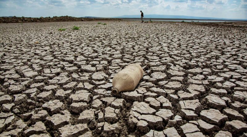 La perturbation des écosystèmes