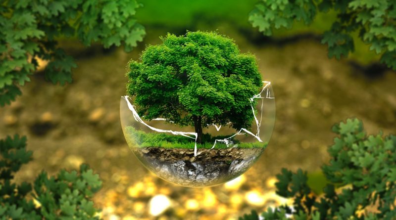 L'écologie